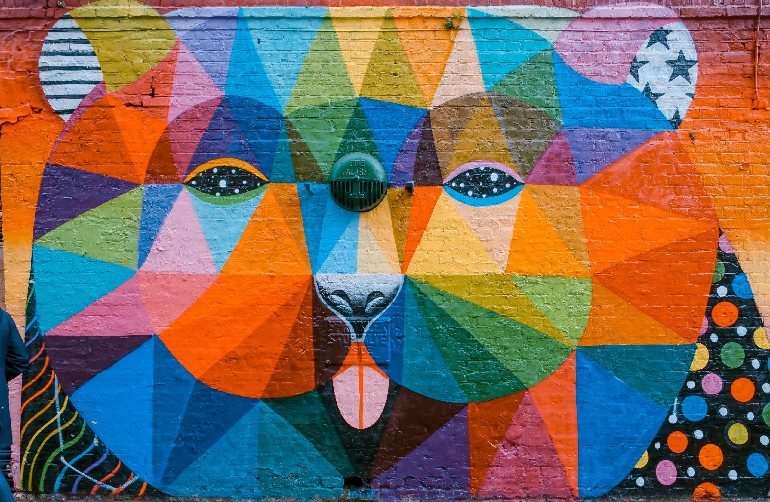Colorful geometric cat mural with tongue sticking out, Coachella Valley